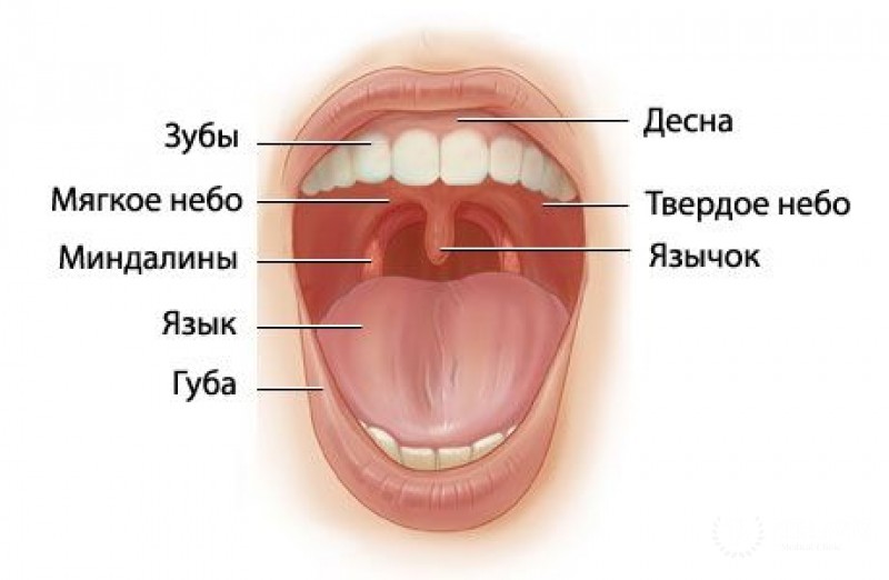 Плоскоклеточный рак ротовой полости